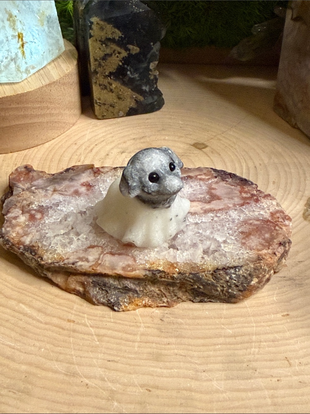 Tai Chi Stone Sheet Ghost Dog